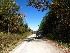 To Dolly Sods