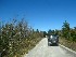 To Dolly Sods