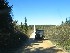 To Dolly Sods