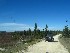 To Dolly Sods