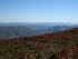 Dolly Sods View