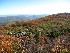 Dolly Sods View