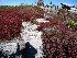 Dolly Sods View
