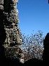 Dolly Sods View