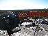 Dolly Sods View