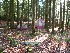 Campsite
