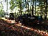 Campsite Parking