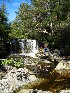 Big Run Falls