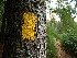 Canyon Rim Trail Marker