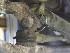 sway bar connector