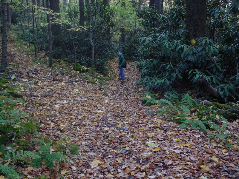 Tomi on the Trail