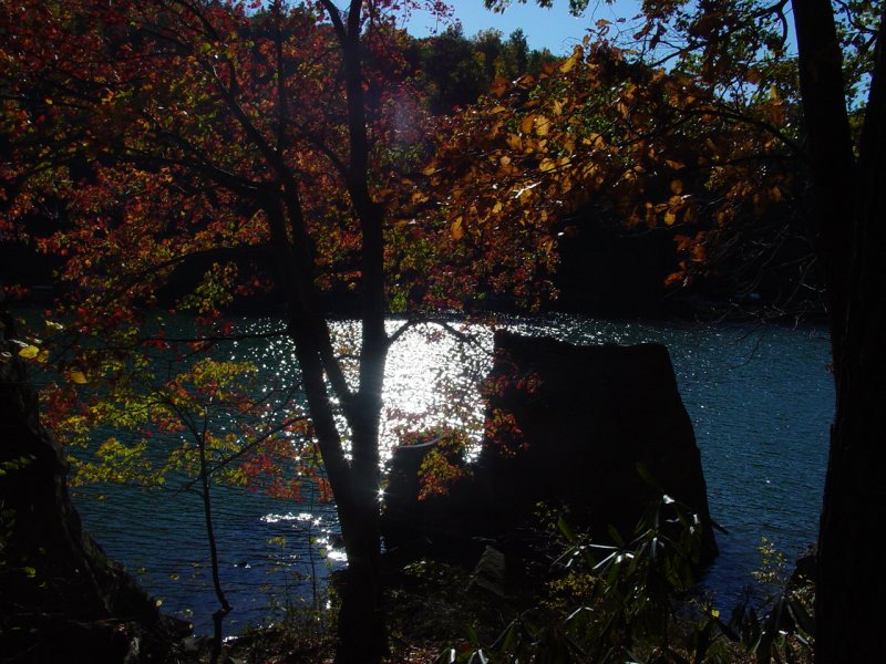 Cheat River from Quarry Run
