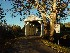 Cox Lippincott Farm Bridge