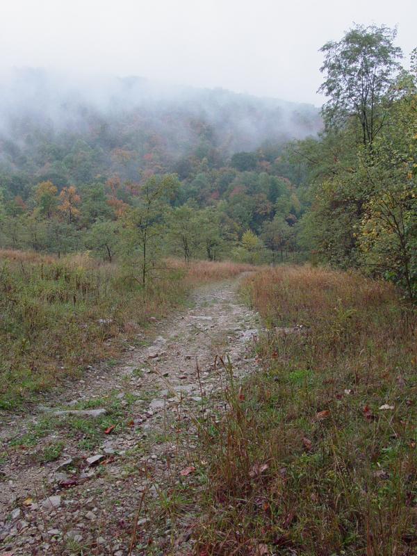 Brownfield Hollow - Click to Enlarge