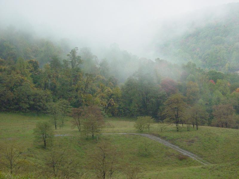 Brownfield Hollow - Click to Enlarge
