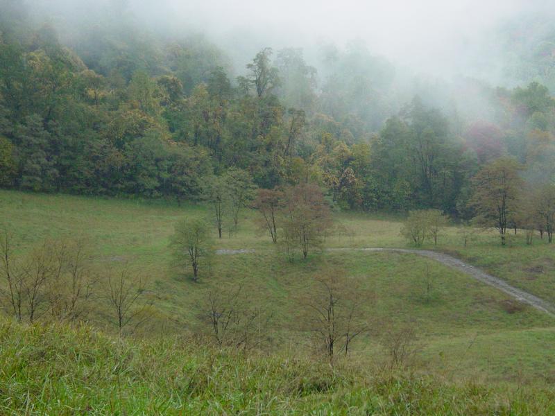 Brownfield Hollow - Click to Enlarge