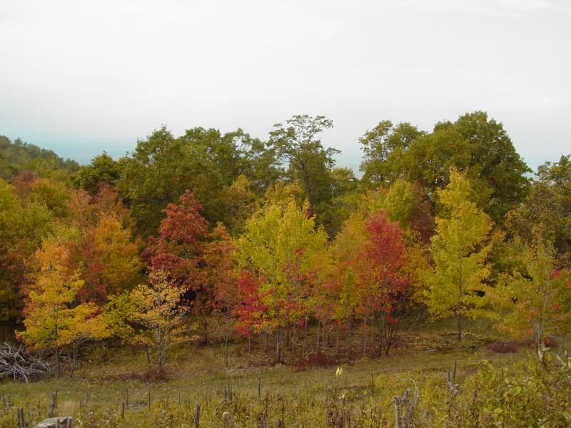 View from Laurel Caverns Parking Lot - Click to Enlarge