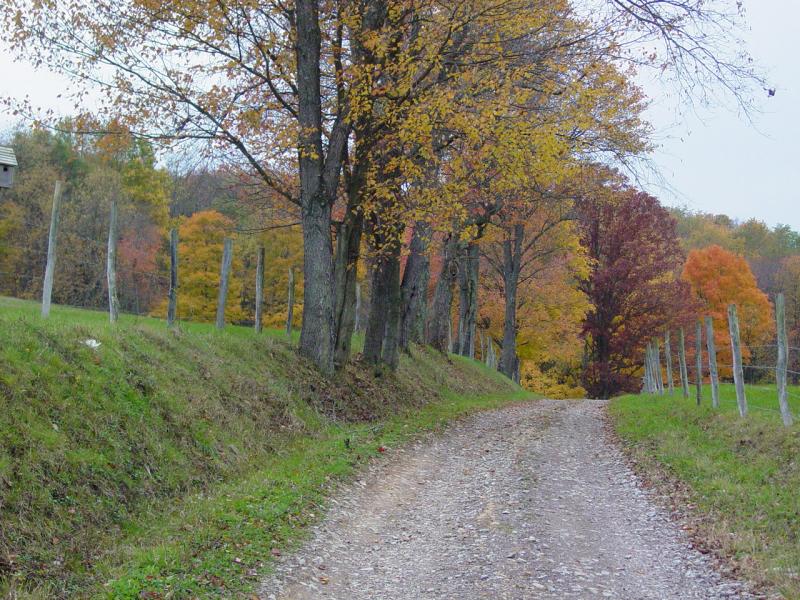 Sumey Road - Click to Enlarge
