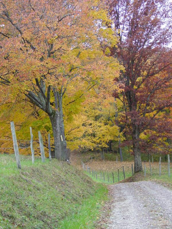 Sumey Road - Click to Enlarge