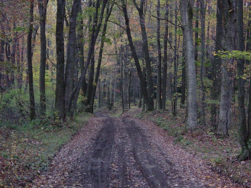 Sumey Road - Click to Enlarge
