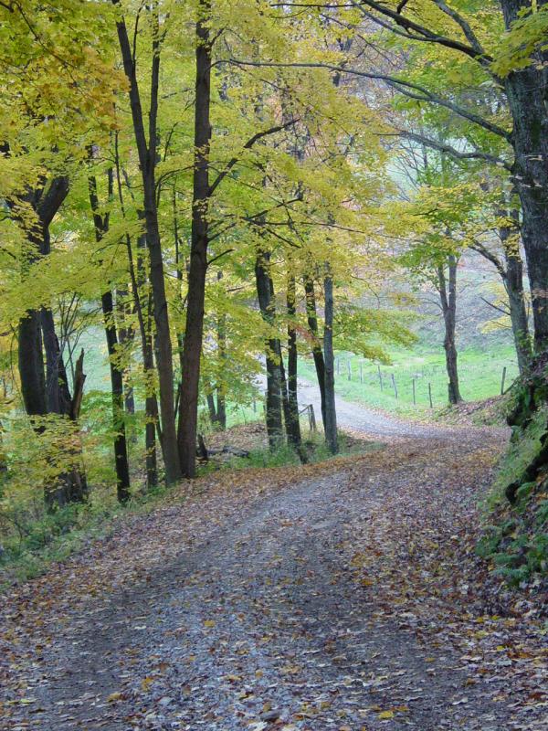 Sumey Road - Click to Enlarge