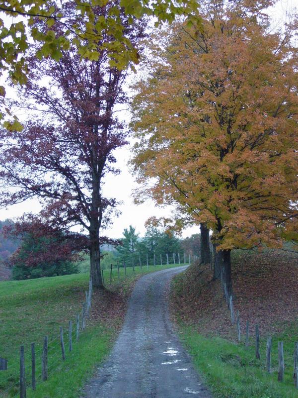 Sumey Road - Click to Enlarge