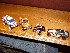 Trucks for Caches