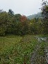 Brownfield Hollow