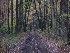 Sumey Road - Click to Enlarge