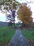 Sumey Road