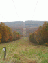 Power Line