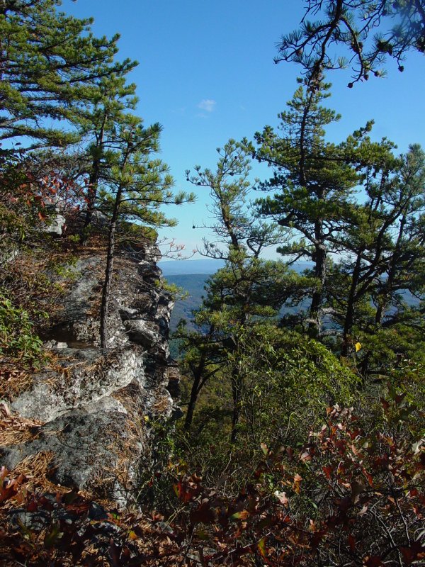 View in Late Afternoon from Eagle Rock
