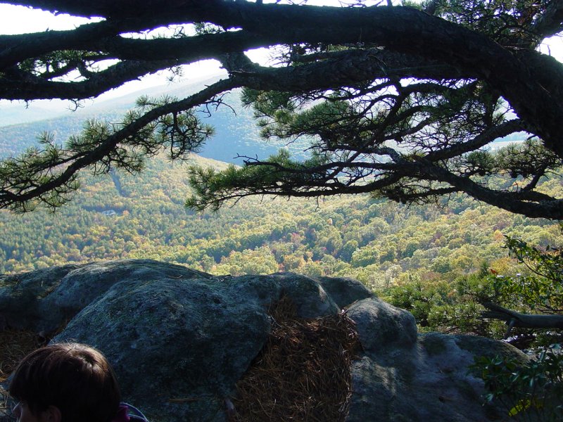 View in Late Afternoon from Eagle Rock