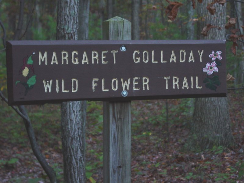 Trail originating in Hawk Campground