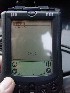 Palm M100