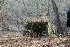 Henry Clay Iron Furnace