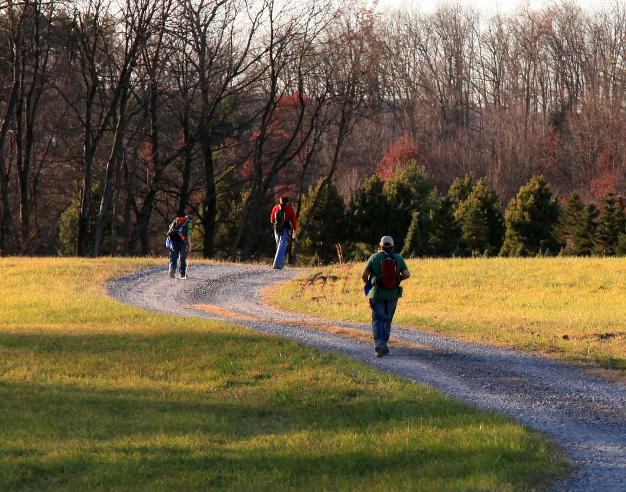 Back-tracking to Camp