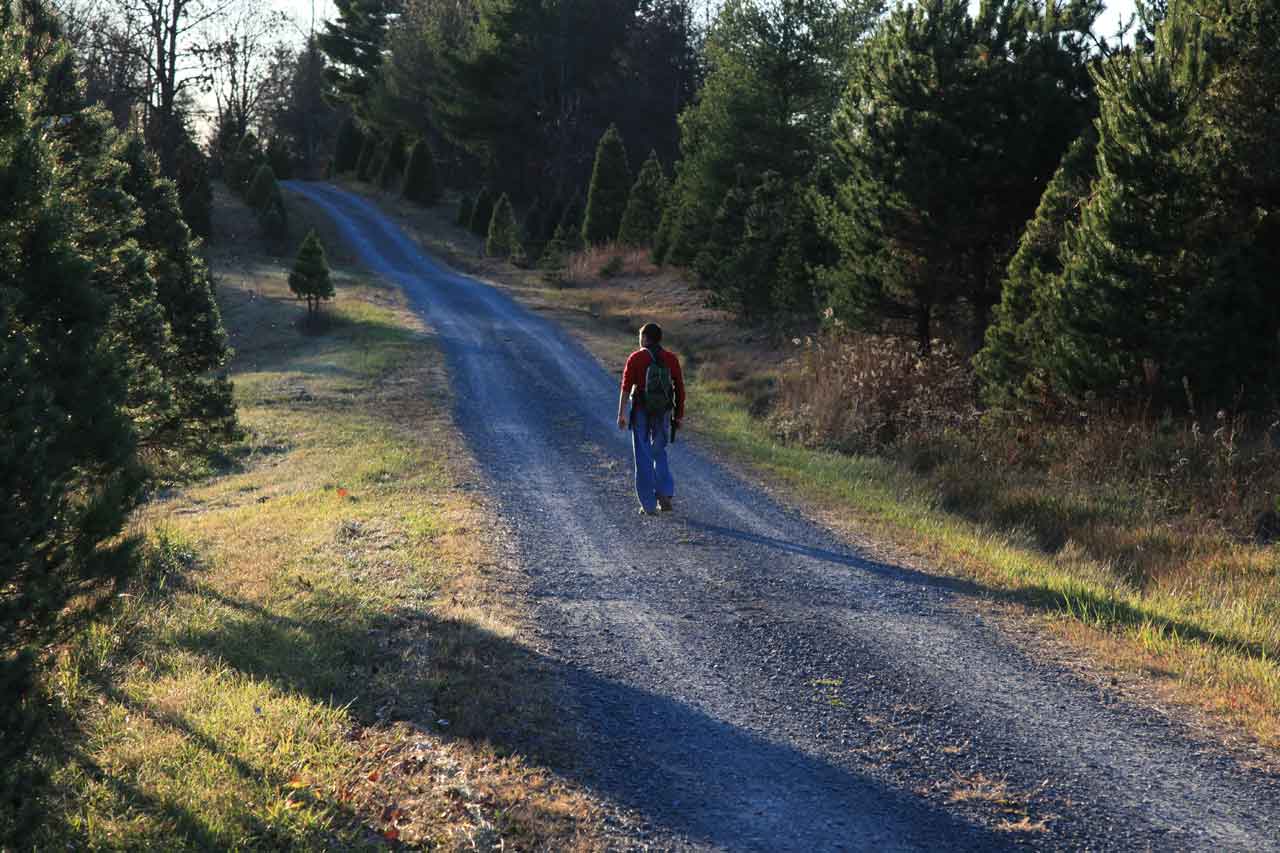 On the Road to Camp