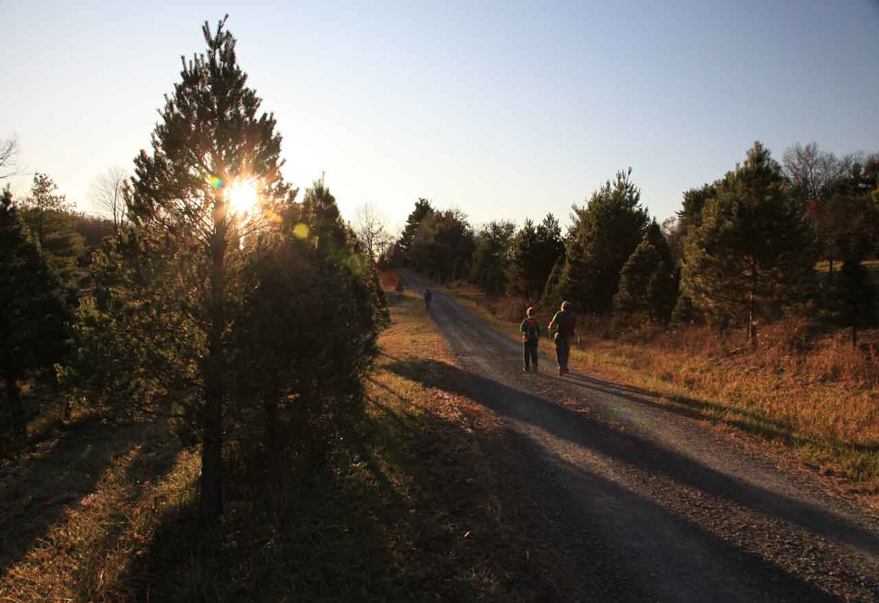 On the Road to Camp
