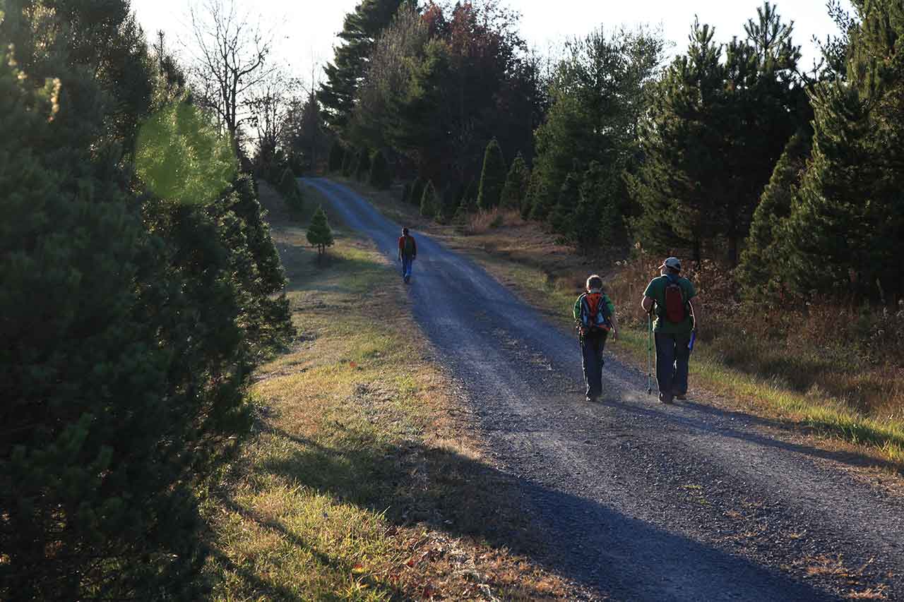 On the Road to Camp