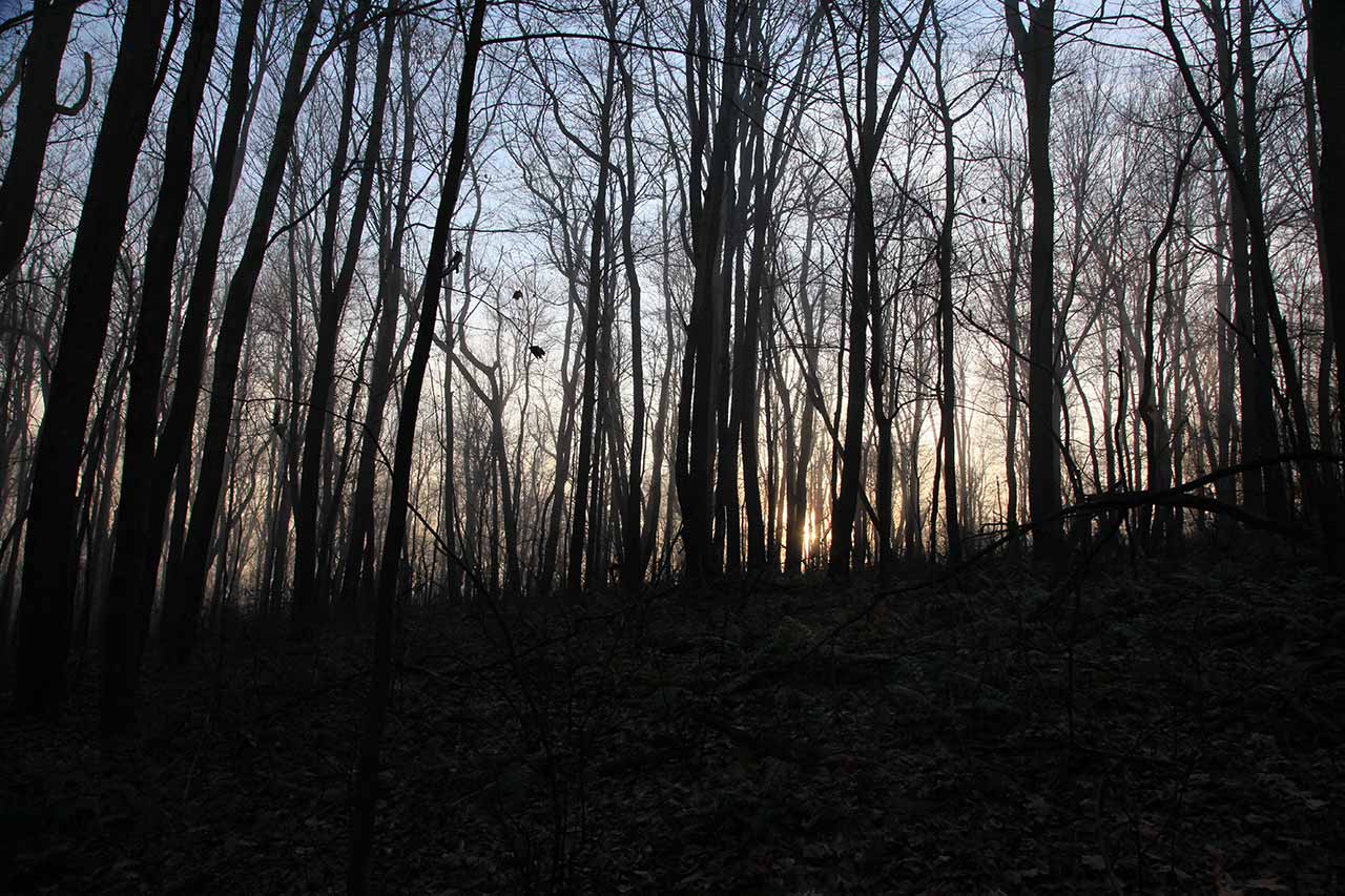 Morning Sunrise