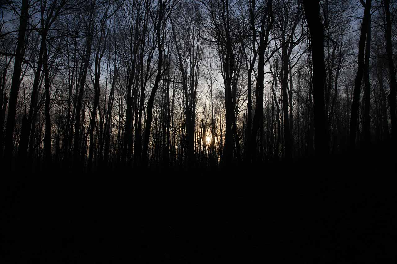 Morning Sunrise
