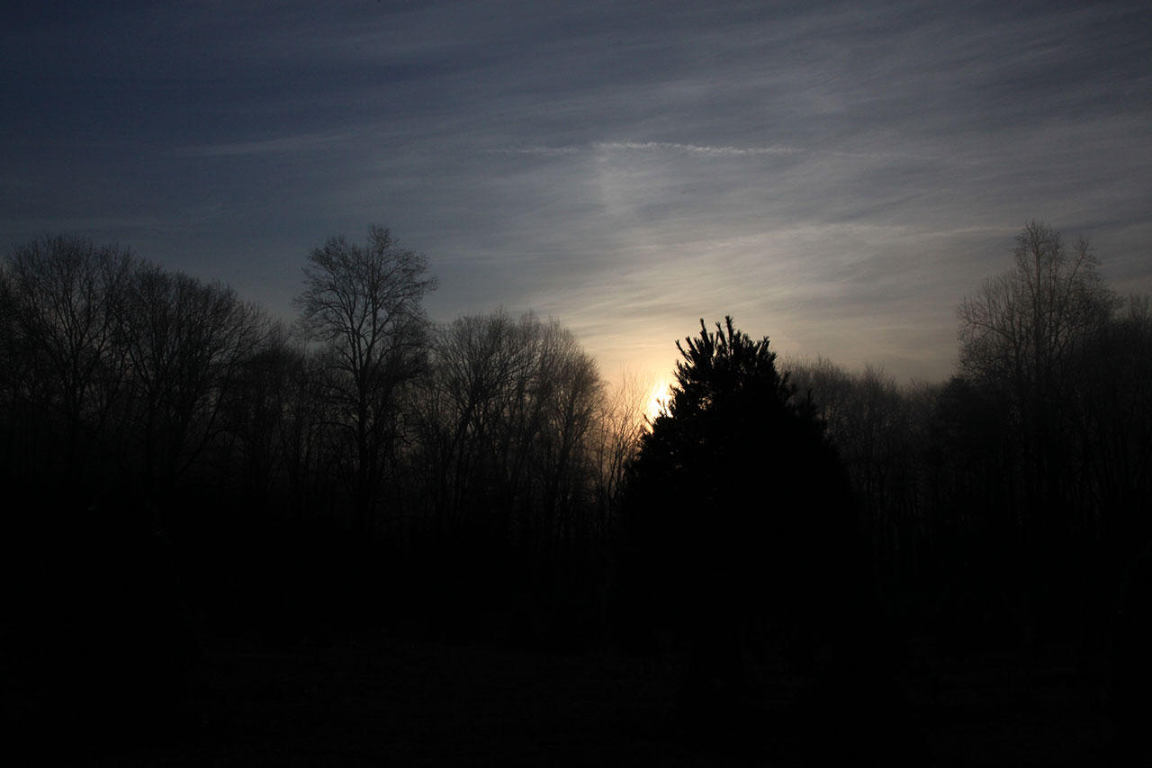 Morning Sunrise