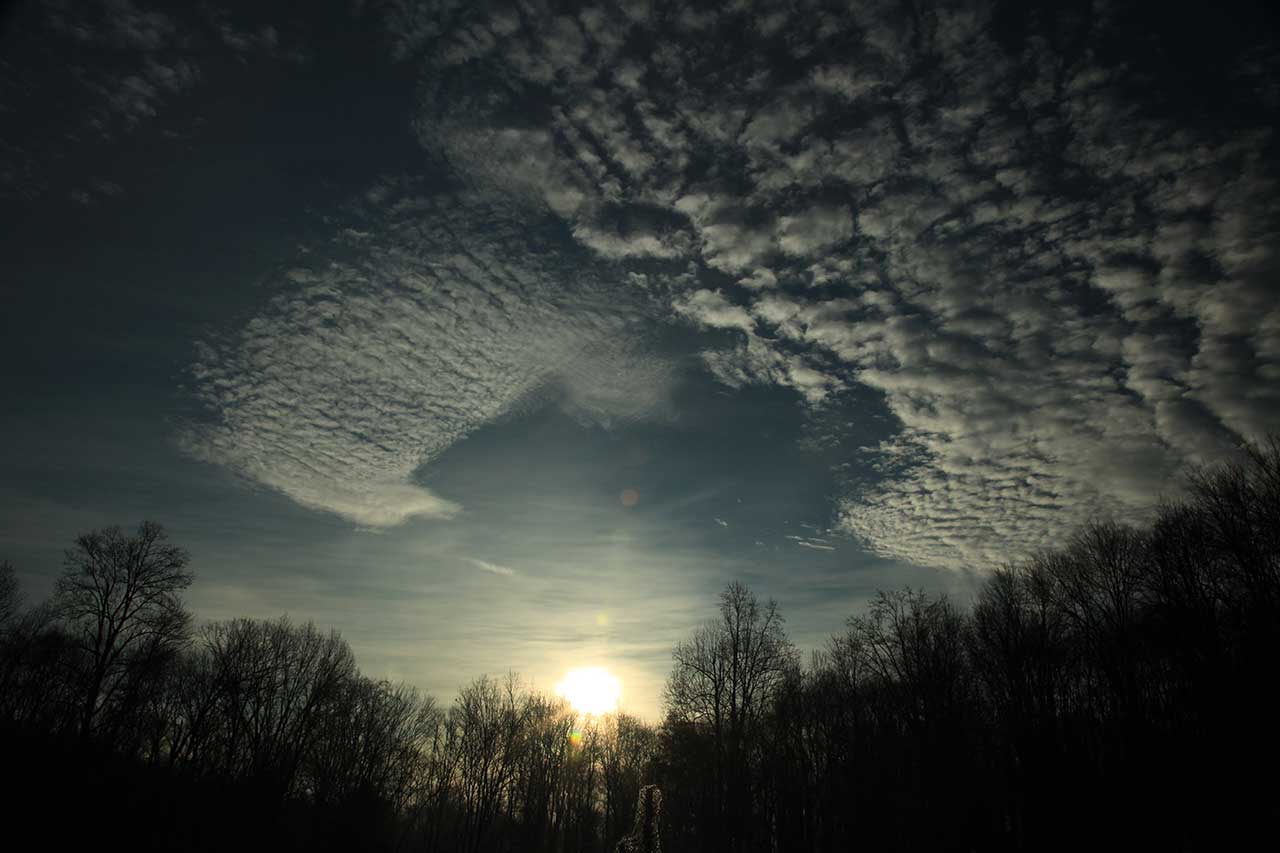 Morning Sunrise
