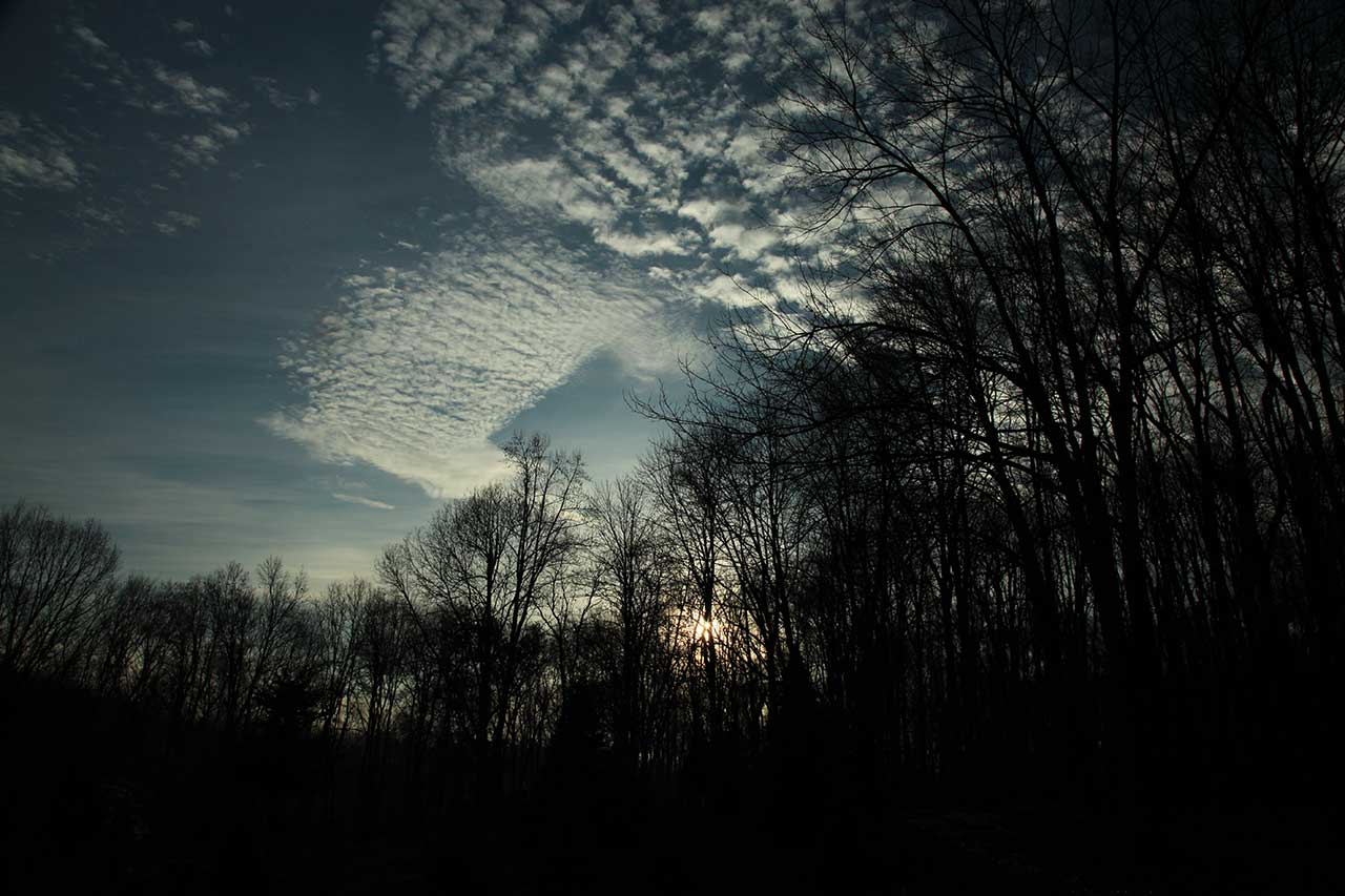 Morning Sunrise