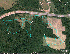 Younger Kid's Track