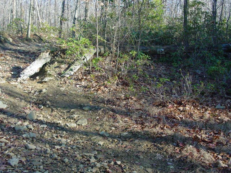 Trail - Click to Enlarge