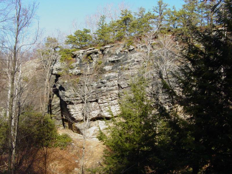 White Rocks - Click to Enlarge