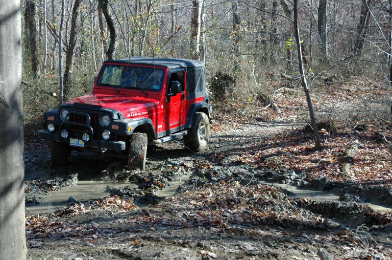 Charlie Gets Mud - Click to Enlarge