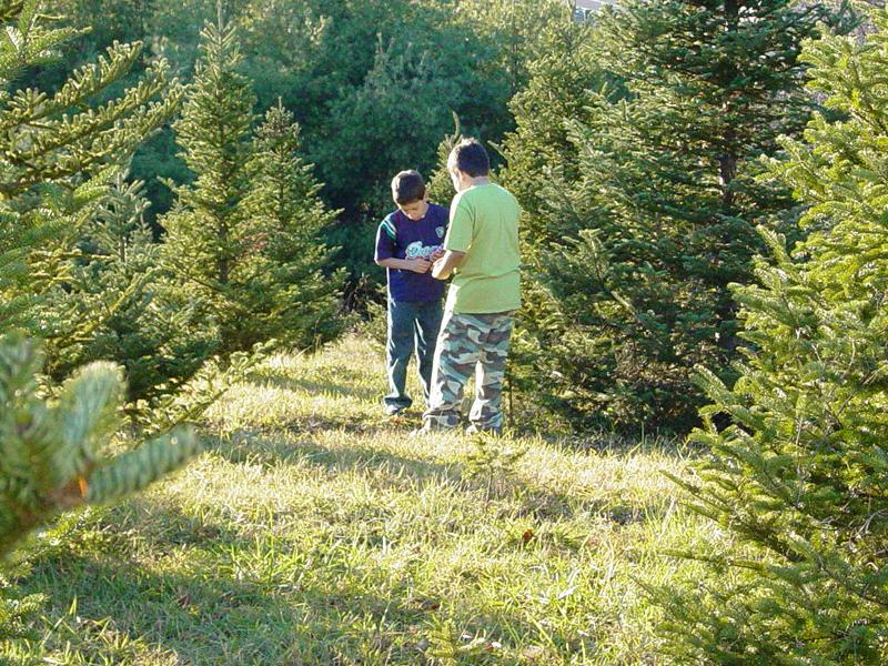 Ted and Tom among the trees - Click to Enlarge